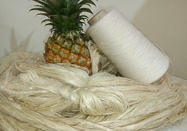 German university reshapes pineapple leaves to make fiber